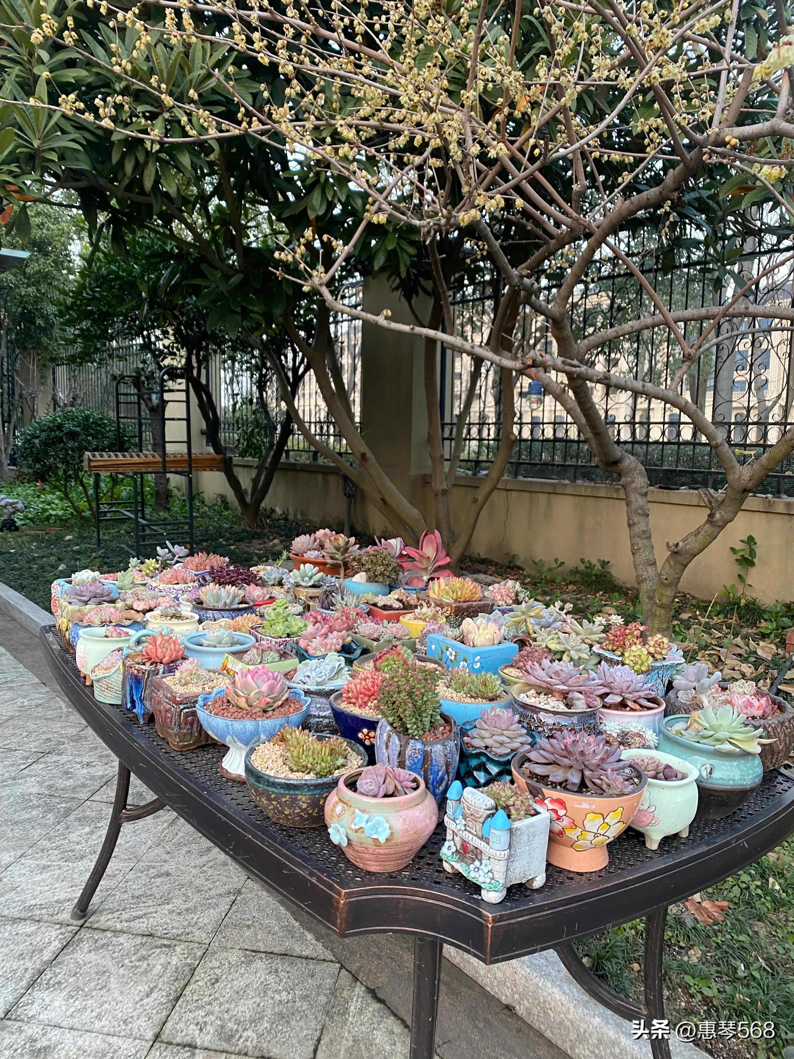 我的照片全部删了怎么找回来,我的照片图库在哪里