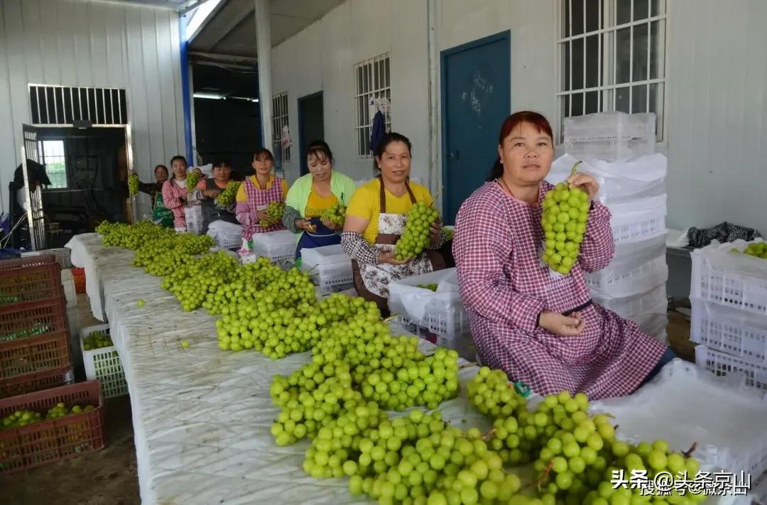 京山摄影爱好者,京山市摄影最牛的人