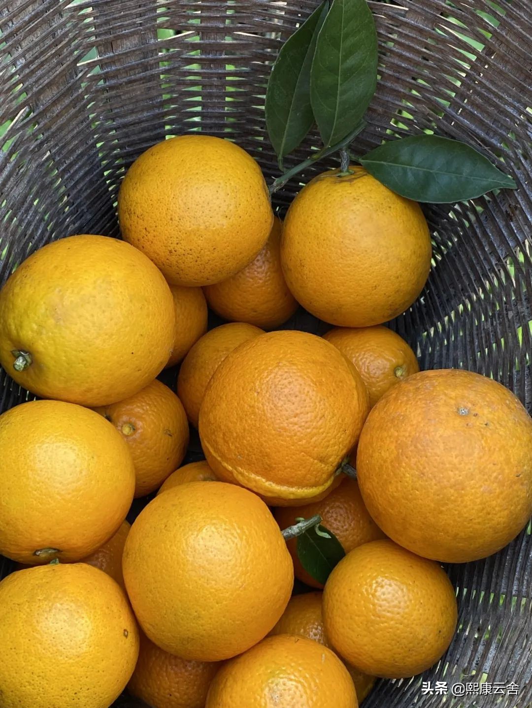 来滇南“打边炉”，悬崖之巅烤橙子