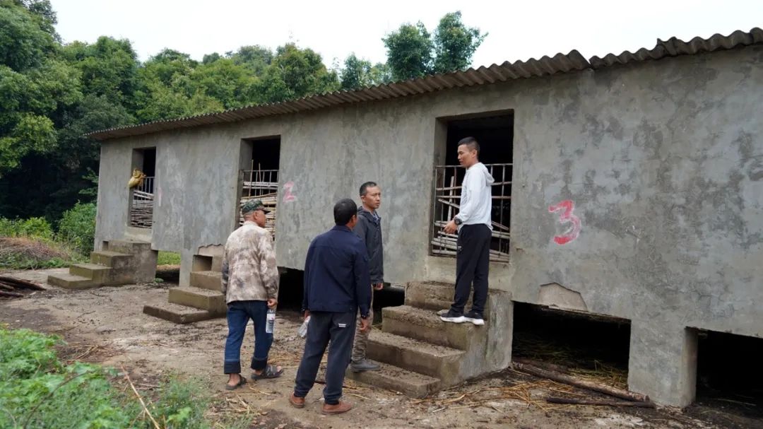 绿春乡村振兴,绿春乡村振兴工作