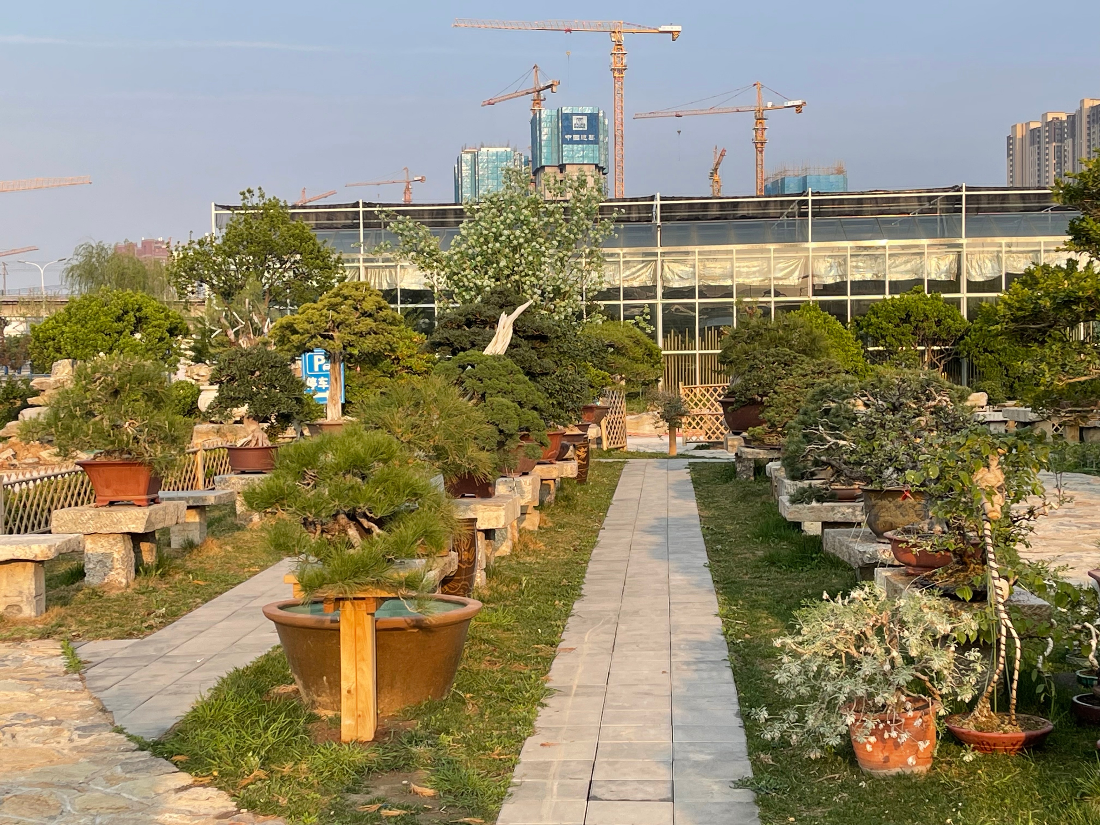 赏花、购花、娱乐，市民自家的小菜园，玉合赢花园中心挺棒