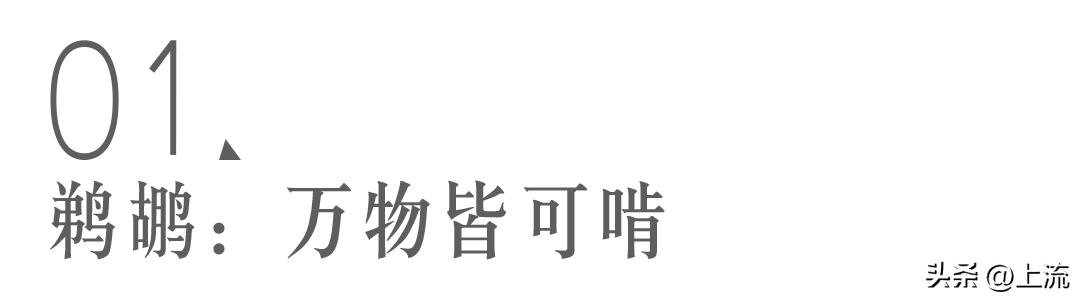 男孩景区遭鹈鹕灌顶,男孩被醍醐灌顶在什么景区