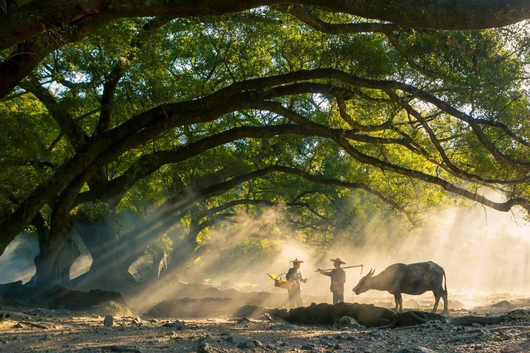 宁德摄影人的好去处,宁德摄影圣地