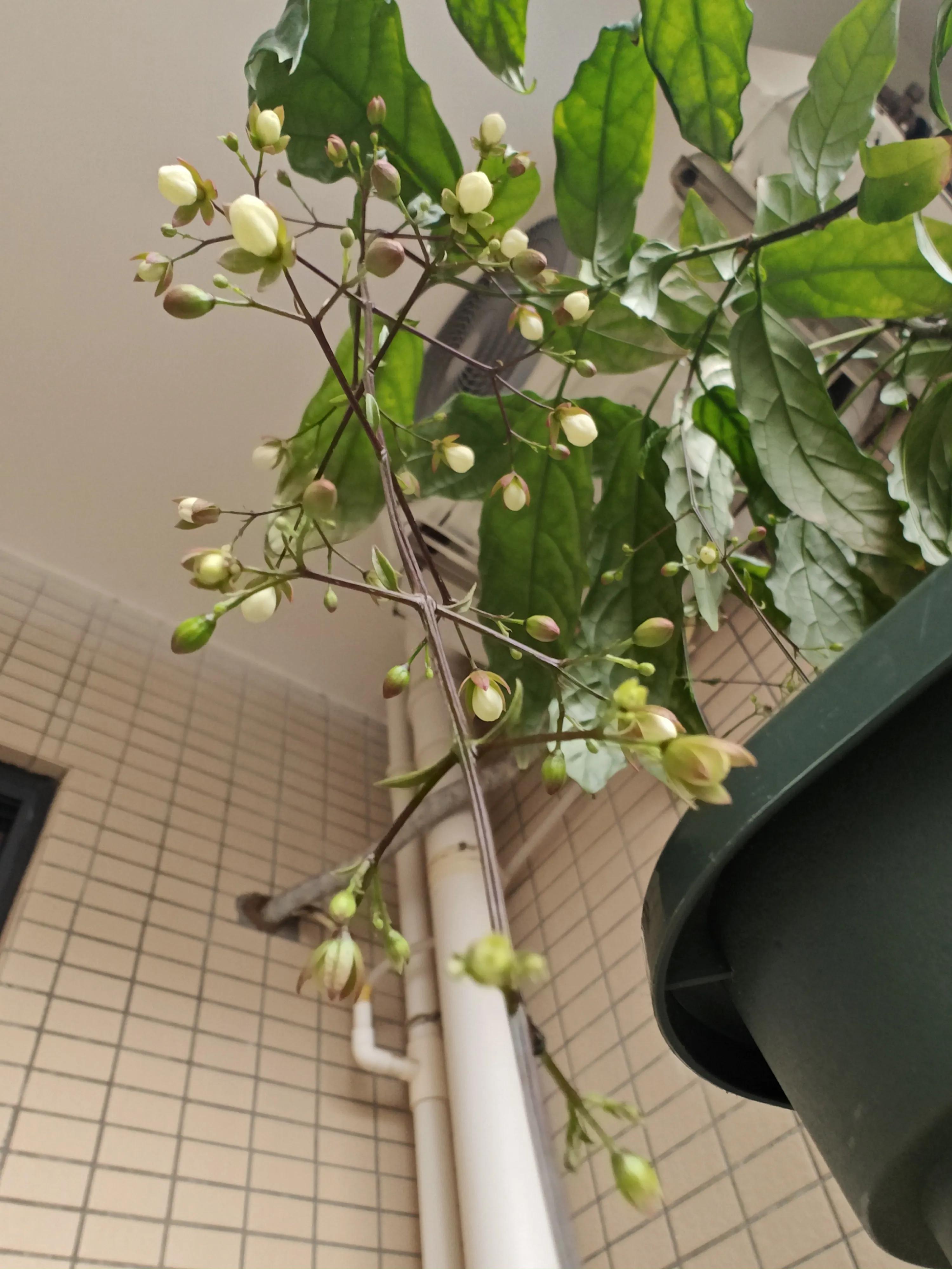 记事本日记图片,记事本日记本