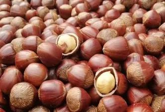 中医说年货·坚果|零食届的“营养担当”，价值和食用禁忌你知道吗～