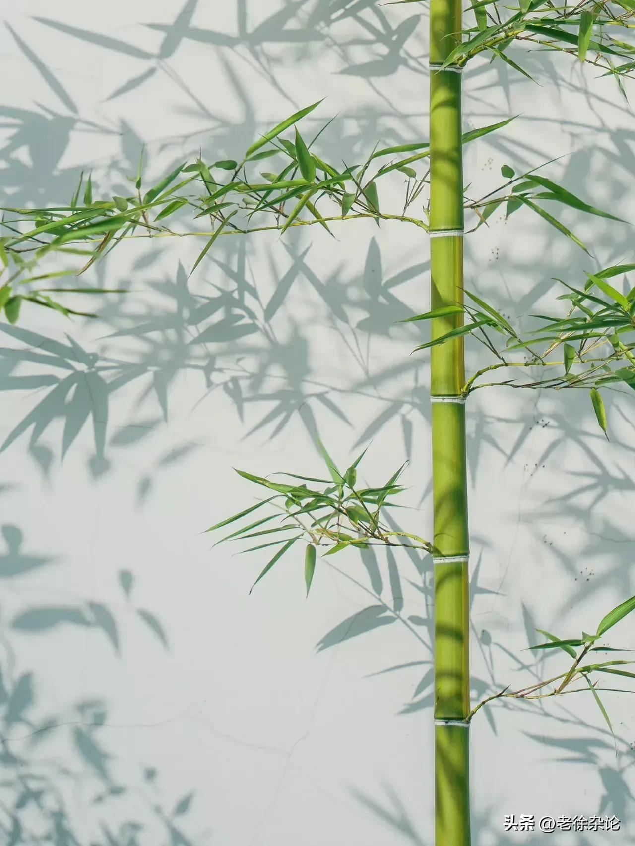 爱惜双眼保护视力,爱惜眼睛保护视力主题画