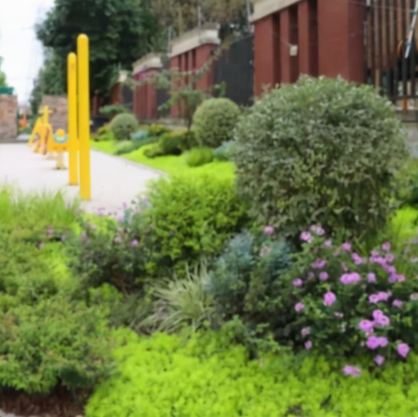 新津最繁华商业街,新津最美街道