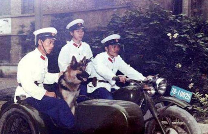 山西老农砍柴发现藏金洞,山西老汉发现山洞洞里藏金砖