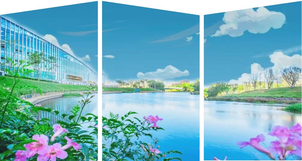 南方科技大学李保文,李保文南方科技大学