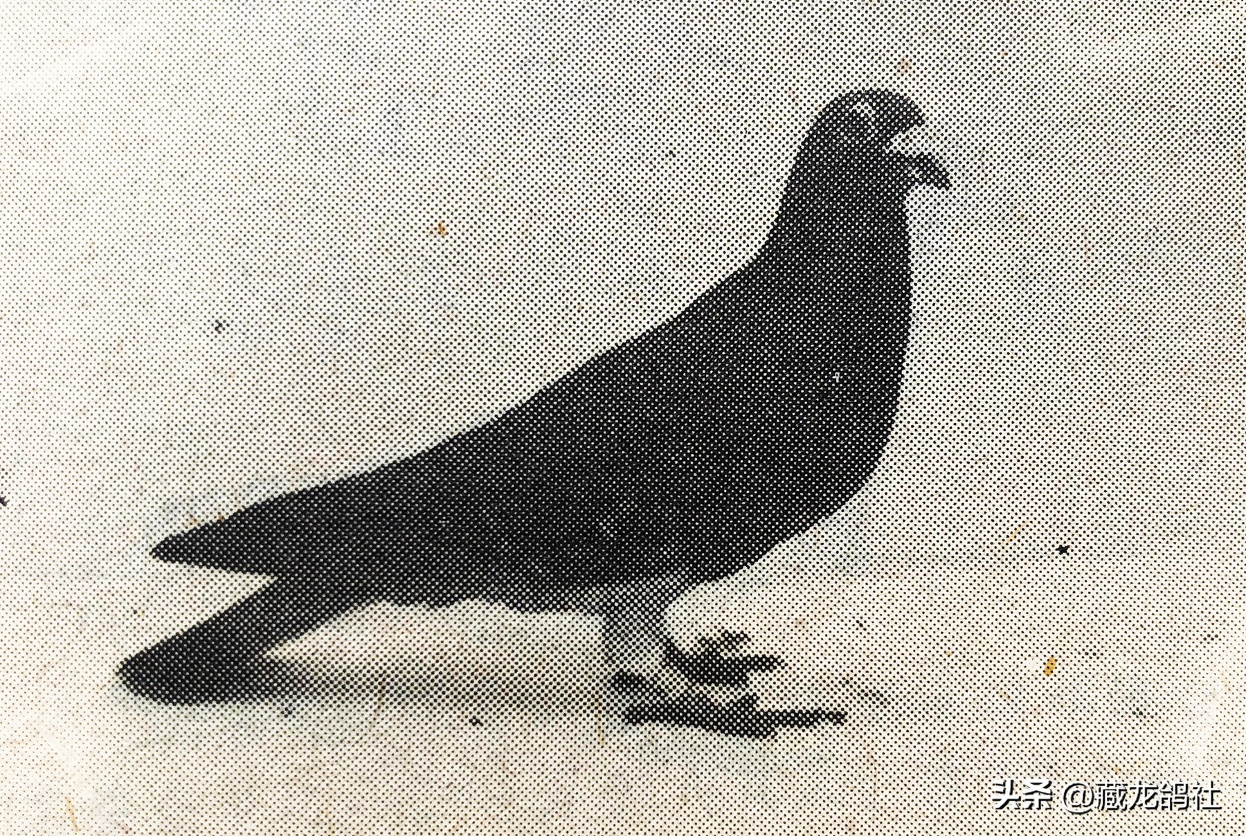 十年磨一剑研发海思芯片,十年磨一剑精心铸精品