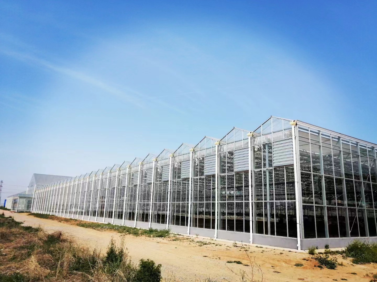 适合无土栽培的温室大棚成本造价,温室大棚的土建基础造价明细表