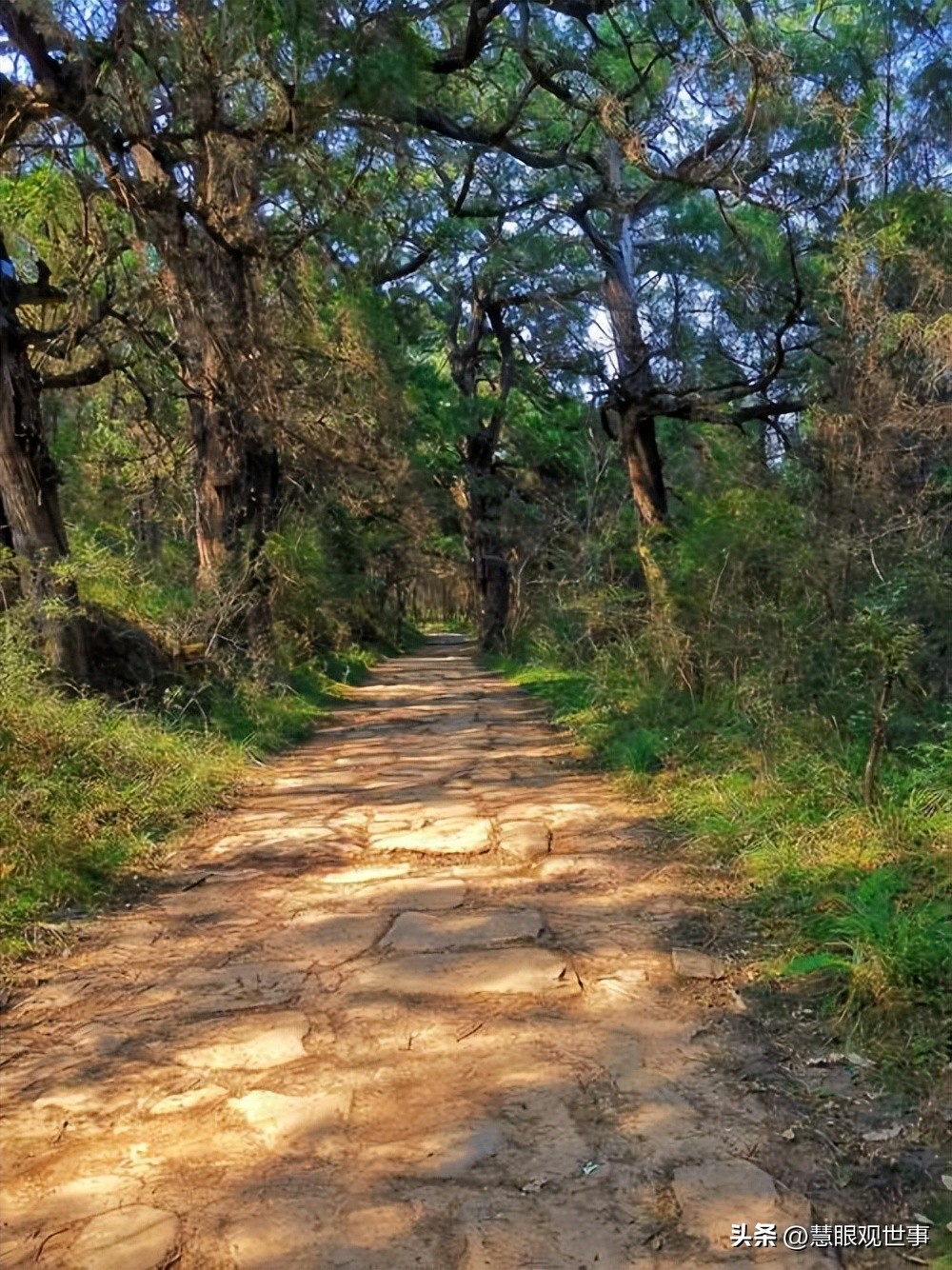 中高考必背古诗词中的人工景观（10）