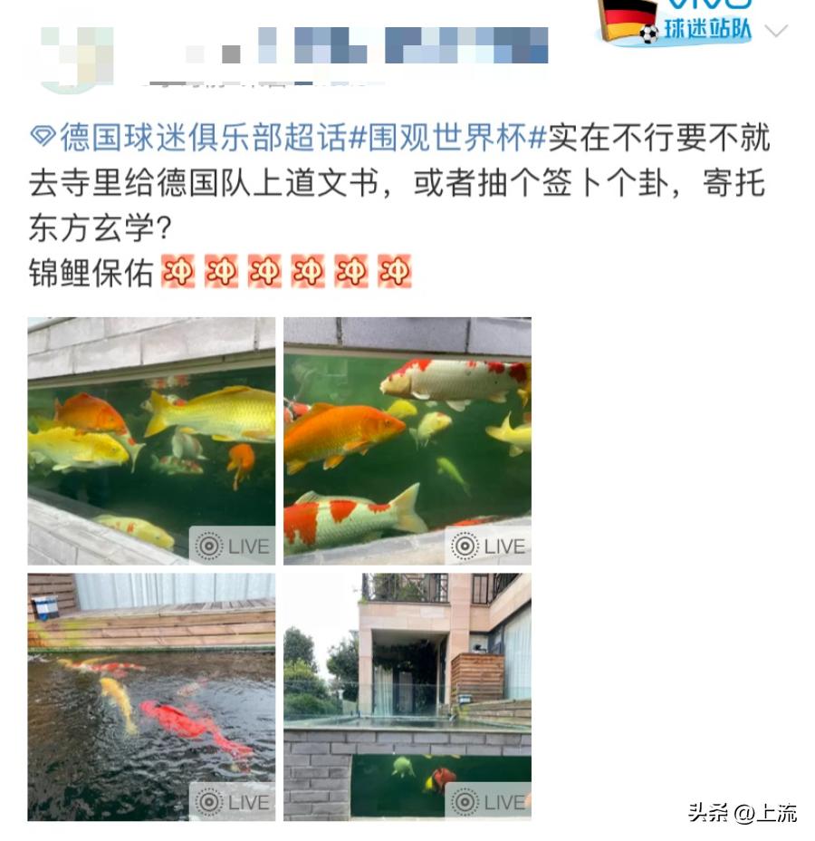 世界杯算命先生预测,世界杯竞彩分析大师