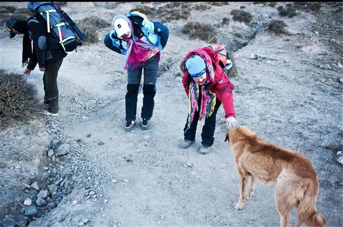 土狗自驾川藏线上,川藏游被狗追