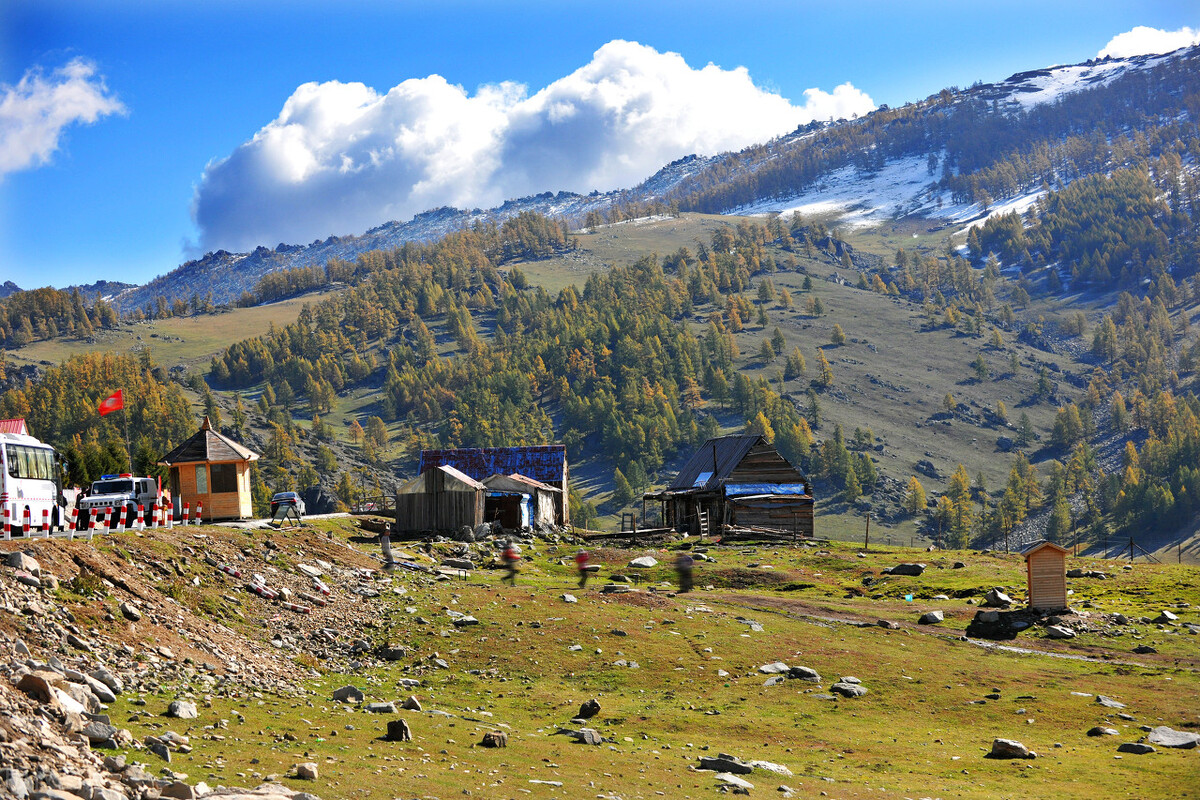食品药品类犯罪罪名,食品药品犯罪案件法条