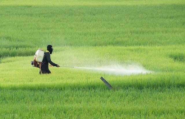 营养剂农药喷了多久遇雨不用再喷,一般农药打后几个小时下雨没事了
