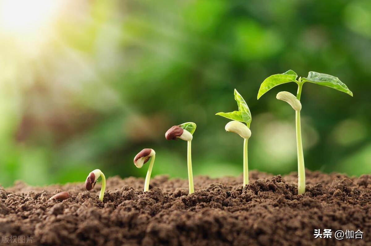 想入职需要哪些手续,正常的招聘入职流程有哪些环节