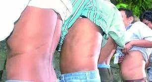 心肝宝贝对身体有什么影响,心肝宝贝里面都有什么