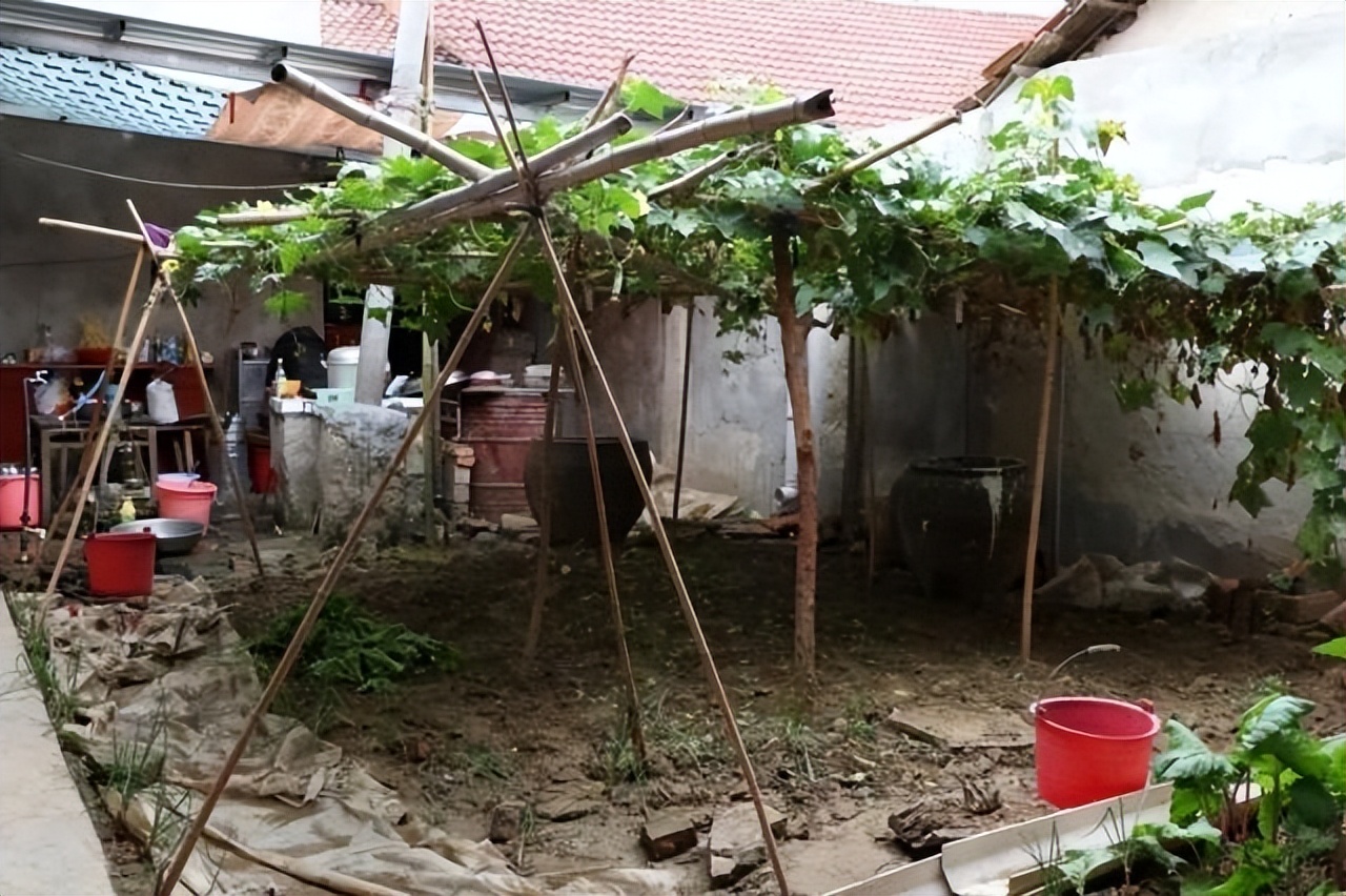 90后女孩跟乞丐私奔,90后女孩和乞丐私奔