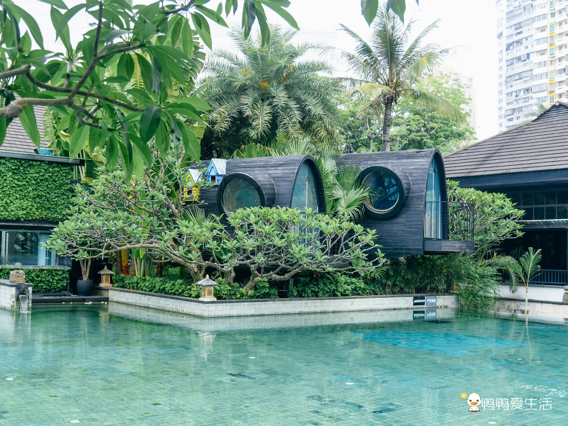 蔡家饭堂抖音团购,蔡家饭堂