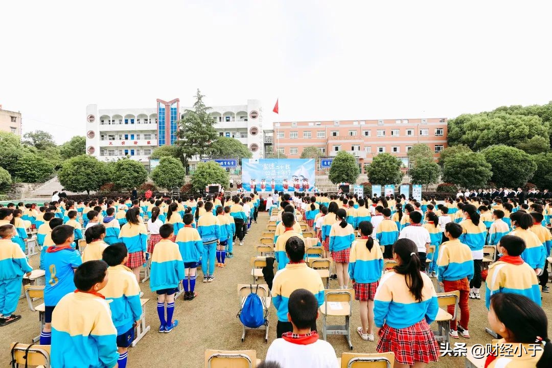 富德生命小海豚,富德生命人寿河北分公司小海豚