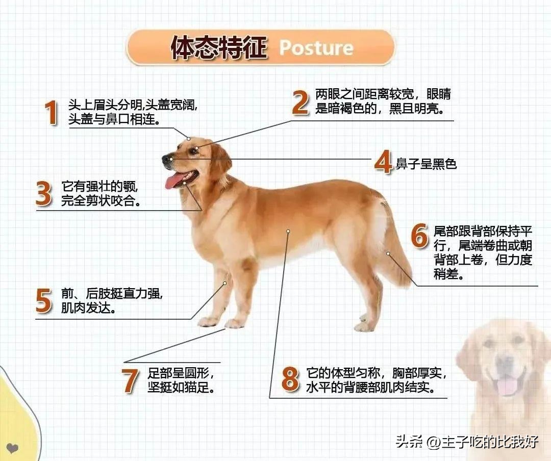 养宠知识问与答,宠兽小知识100条