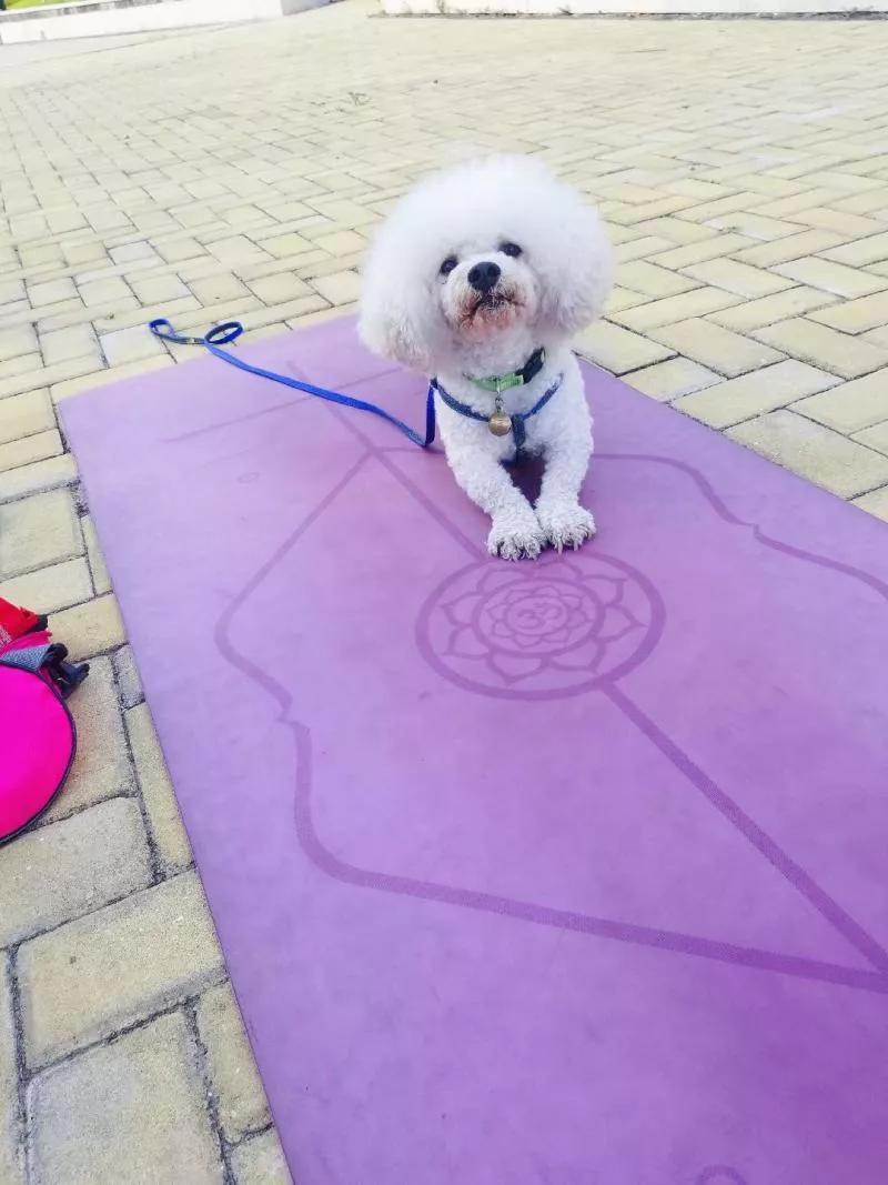 2023年7月原创随笔,2022年1月21日随笔感想