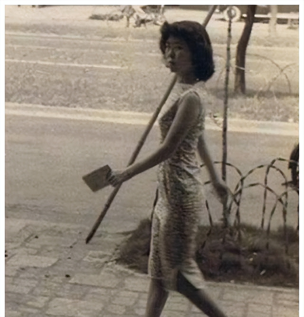 费翔的梦中女孩,费翔的初恋情人电视剧