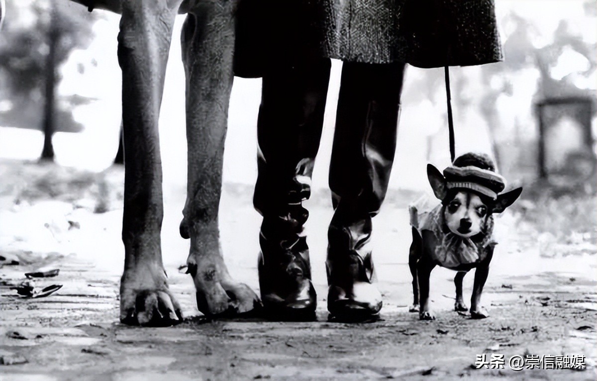 街拍摄影大师作品欣赏,摄影街拍大师作品