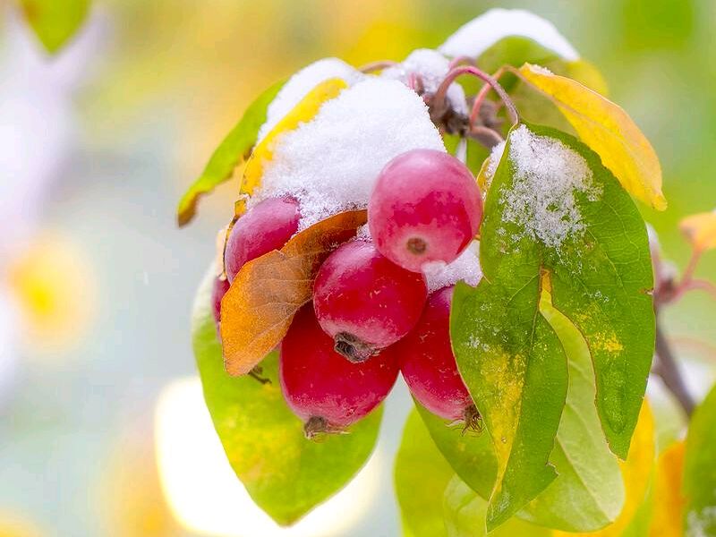浜洪棿钖勫噳鍞忓槝涓嶅凡,浜洪棿钖勫噳澶╂动璺繙