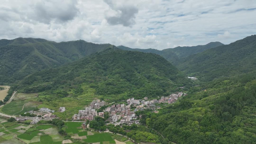 小蜜蜂酿出甜蜜大产业,白沙村小蜜蜂酿出甜蜜大产业