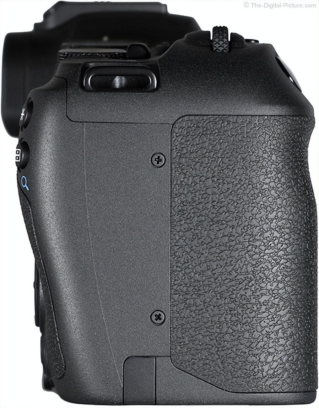 浣宠兘eosr8娣卞害娴嬭瘎,浣宠兘eosr8鐢昏川娆ｈ祻