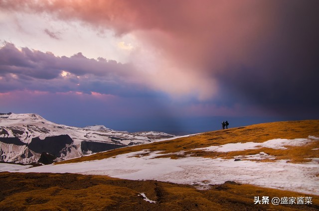 香料当归怎么用,香料科普动画