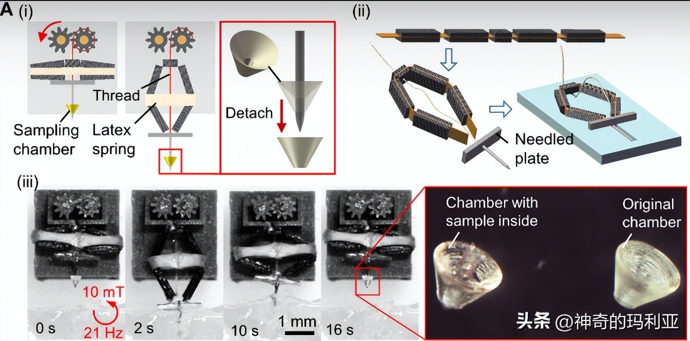 用于无线控制毫米级机器人的磁致动齿轮箱，其究竟有何作用