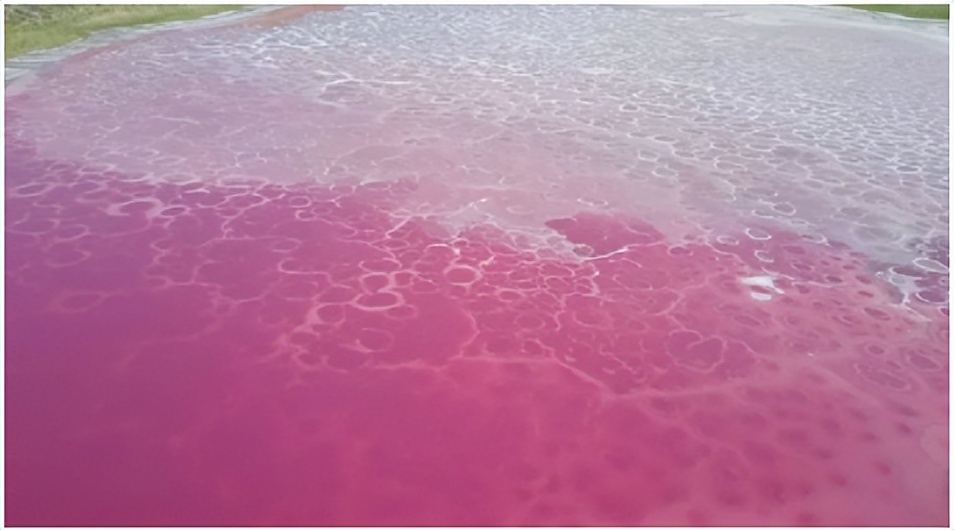 买包不能解决的问题,买包解决不了的事情