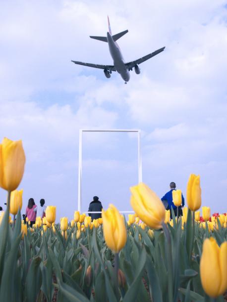 双流赏花免费地点三月份,成都双流区赏花景点在哪里