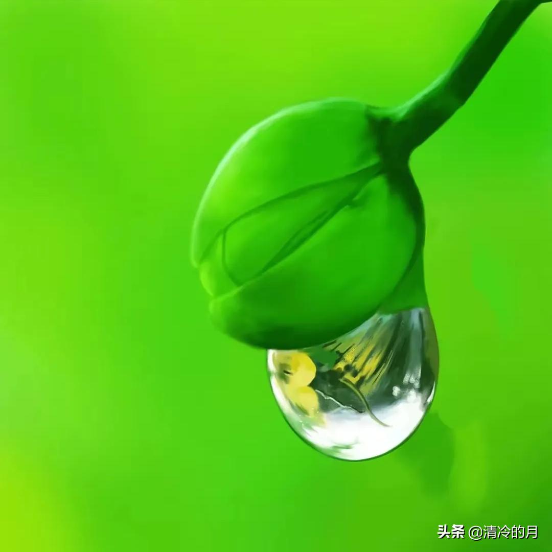 兄弟两个人经典语录,人生感悟兄弟姐妹情