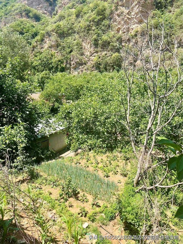 承德快活林农家院,承德农家乐和休闲农庄钓鱼