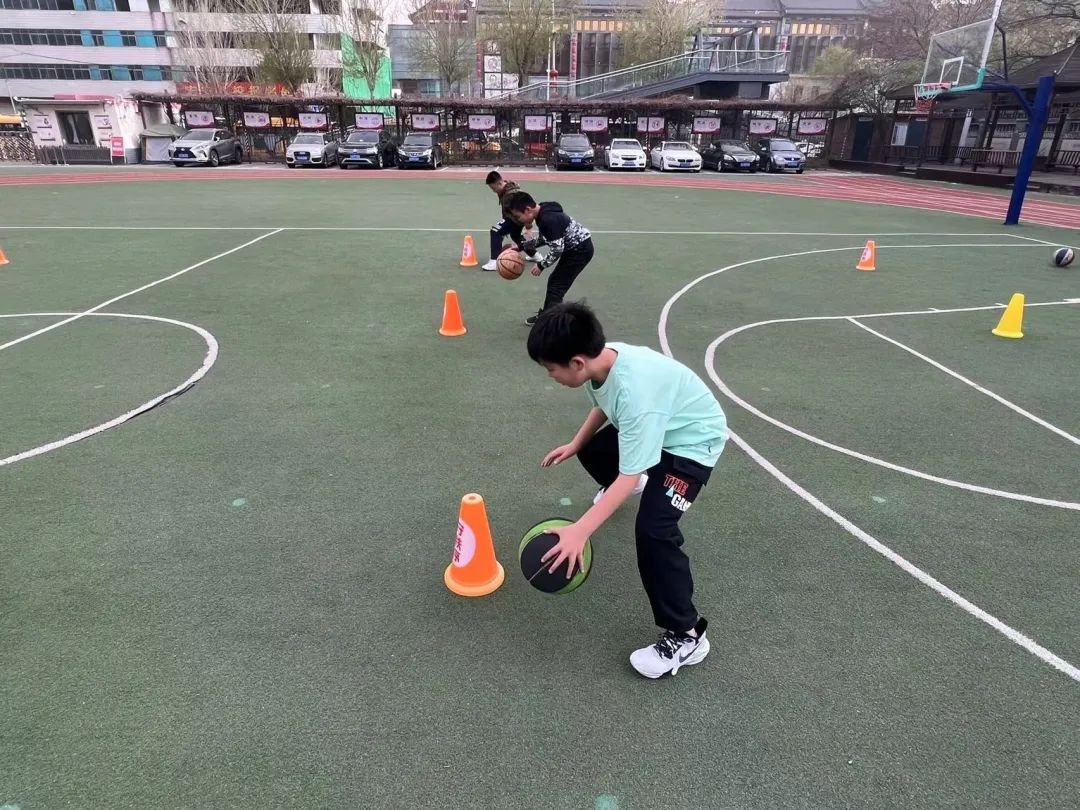 鐧藉鑹烘湳鍩硅,鐗硅壊鏁欒偛鍝佺墝鍒涘缓