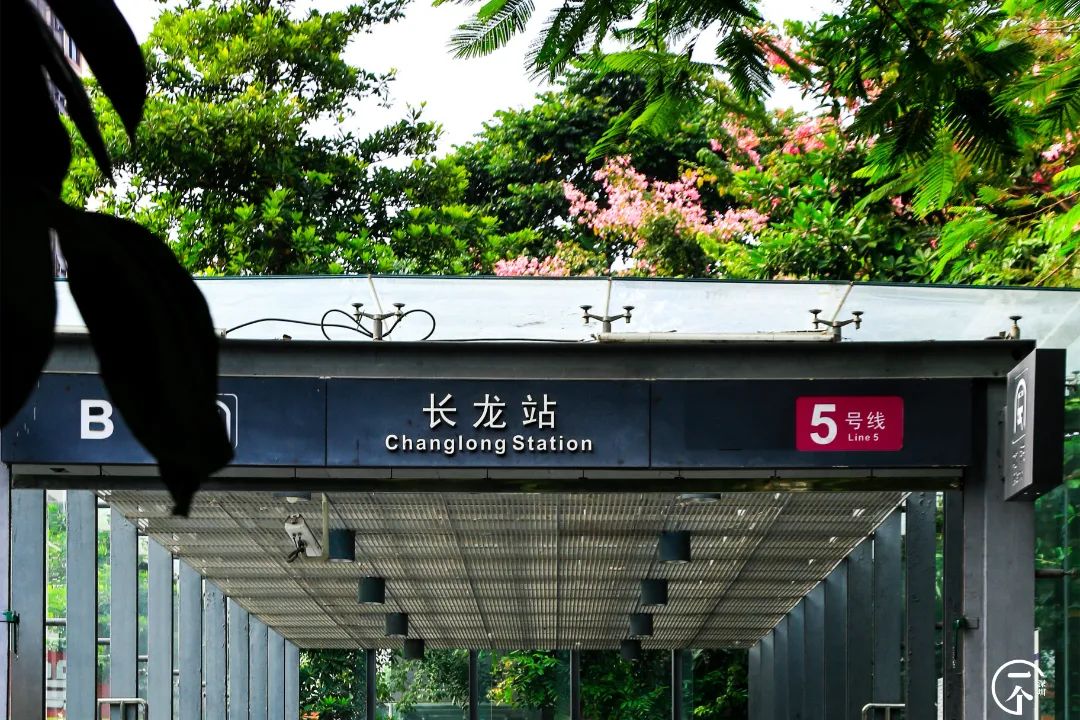 深圳这个不起眼的城中村，盛产学霸？