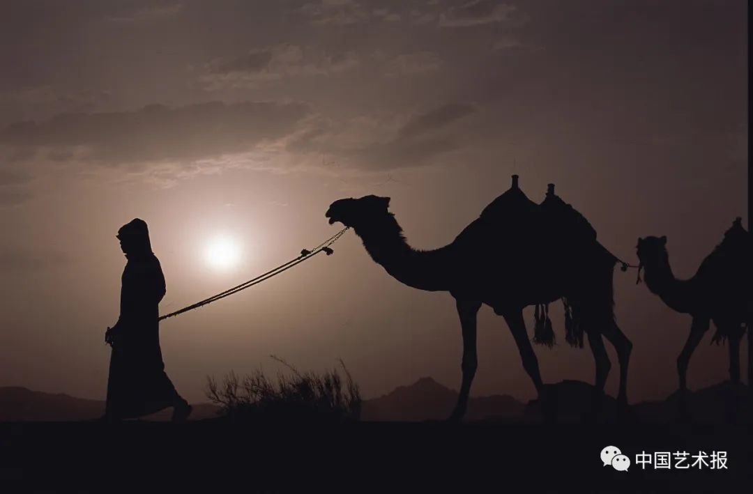 摄影师王琛访谈,采访景深视频