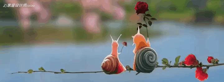 全职太太把家打理得井井有条,80后太太的生活