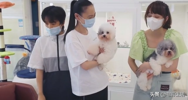 2019这些神级高分综艺你看过几部,冷门综艺排行榜前十名