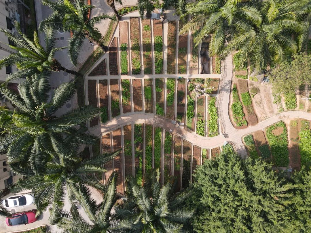 2个北大学霸，在房价10万一平的深圳市中心，造了80座花园