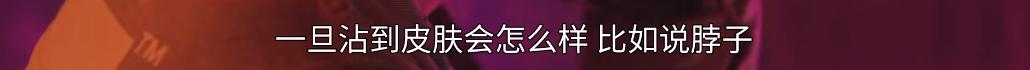 韩国敏感题材，以暴制暴，爽