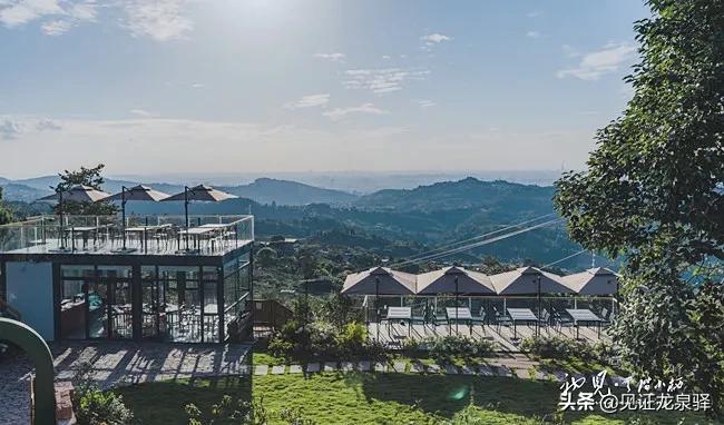 集所有优秀品质于一身,集多种荣誉于一身