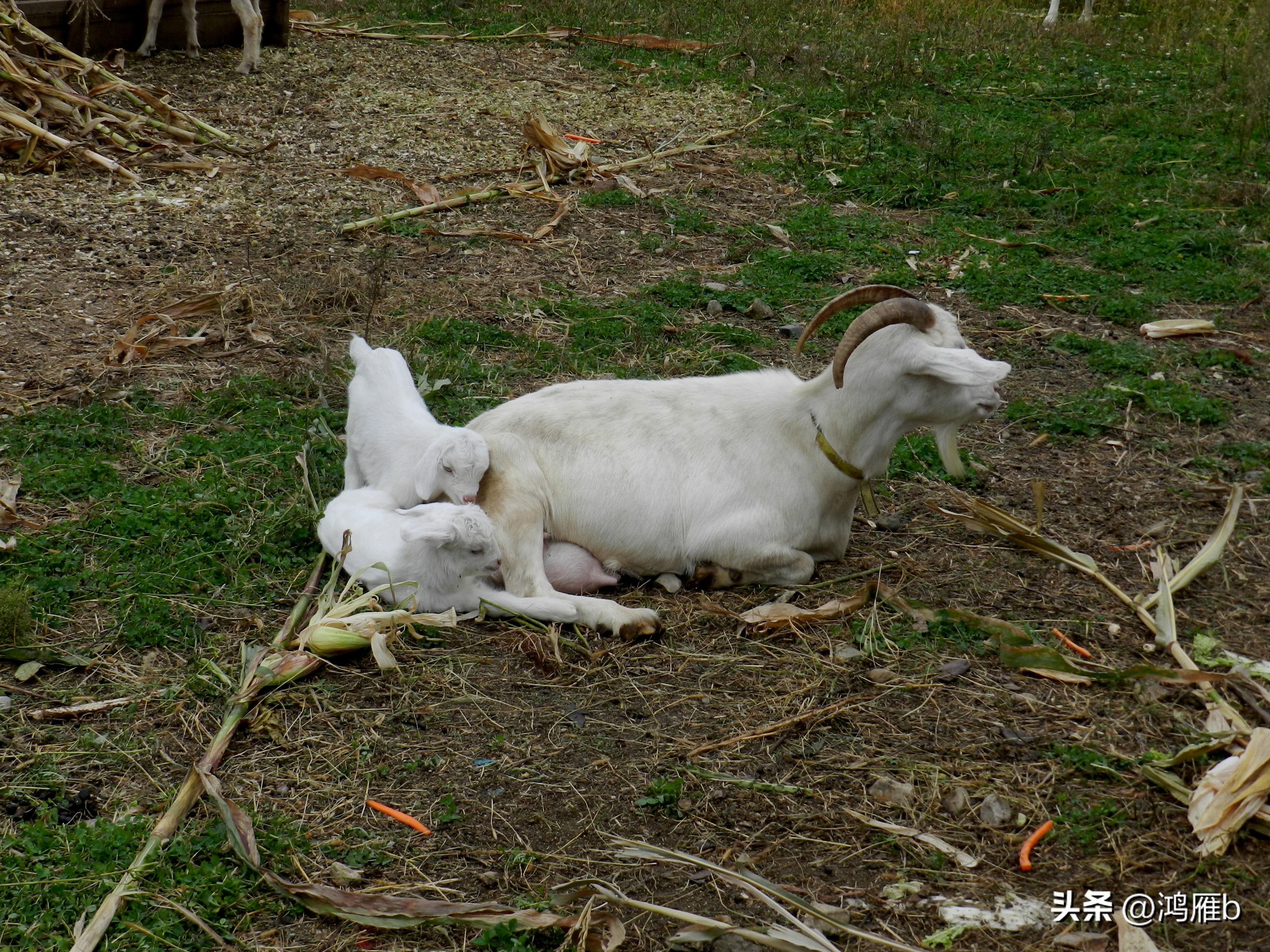 本溪温泉汤沟门票价格,本溪花溪沐枫雪温泉小镇
