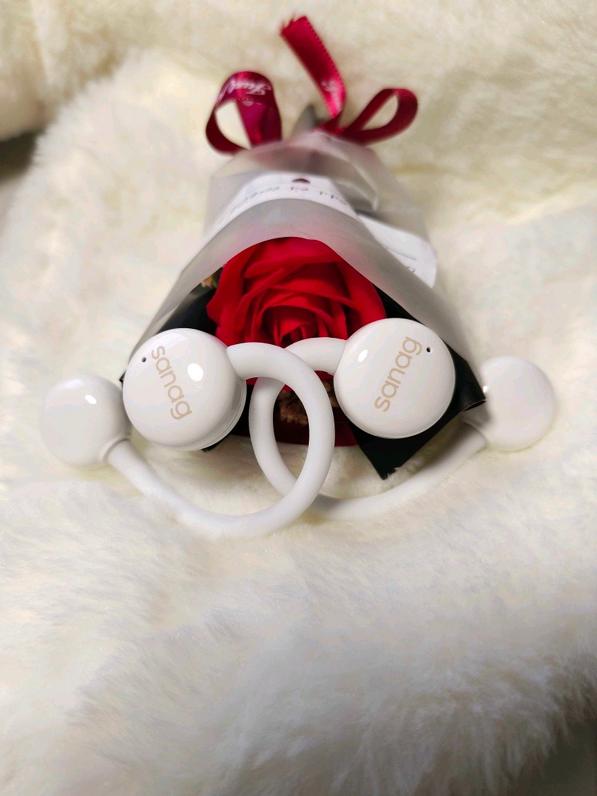 sanag塞那z61spro顶配版,sanag蓝牙耳机z61s说明书