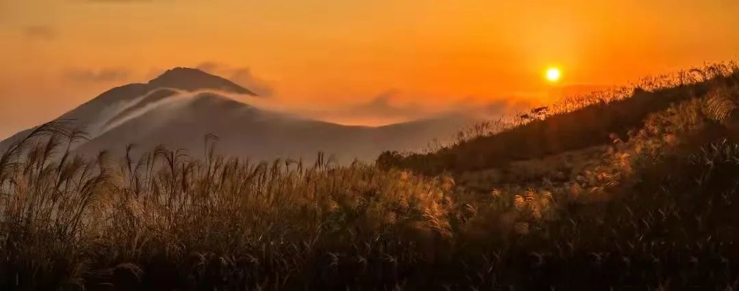 亲近春天，爬山正当时！温州这些绝美山峰快快约起！