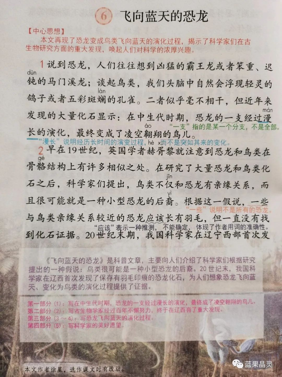 四下语文:第2单元课本内容(复习+练习)